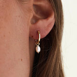 Pearl Drop hoops
