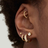 Rook