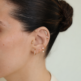 Cartilage Pair