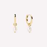Pearl Drop hoops