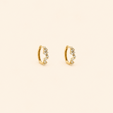 Entangled Vines Hoops