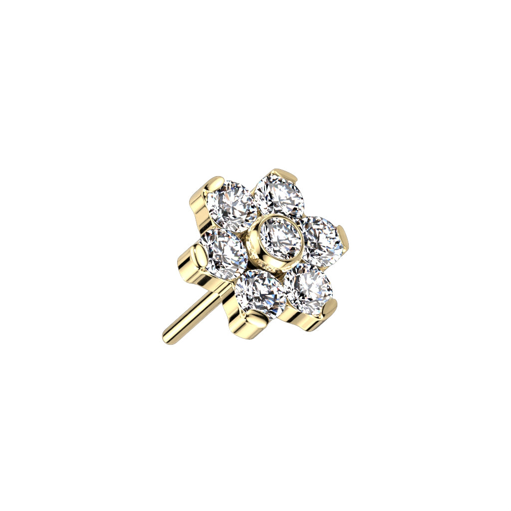 Carnation 14k