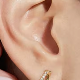 Double Stacked Gemmed Hoop