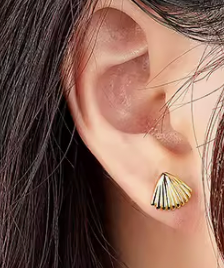 Seashell Solids