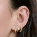 Cartilage Single