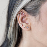 Marquise 14k