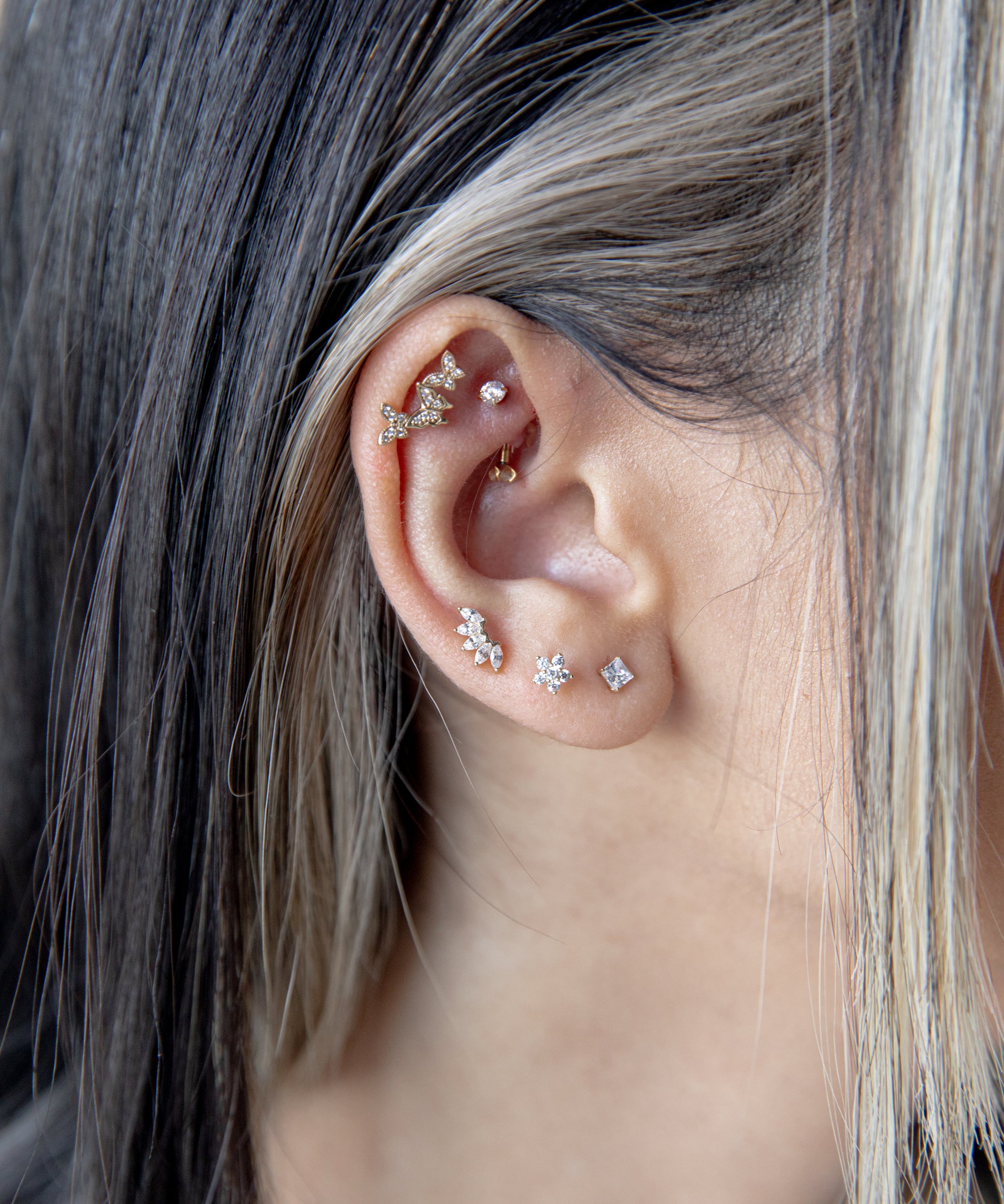 Carnation 14k