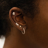 Marquise 14k