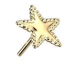 Edged Star 14k