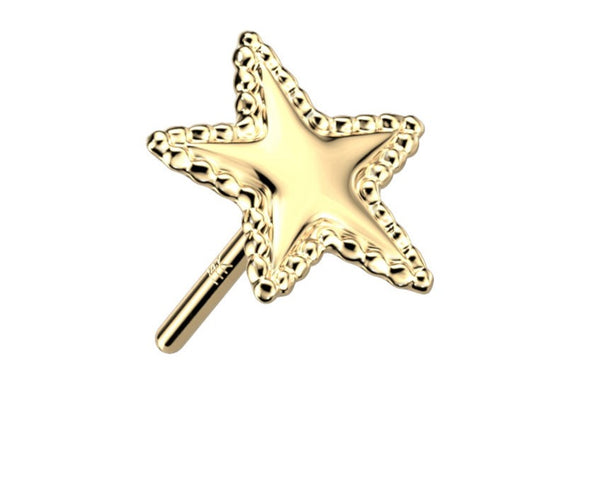 Edged Star 14k