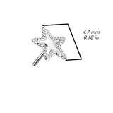 Edged Star 14k