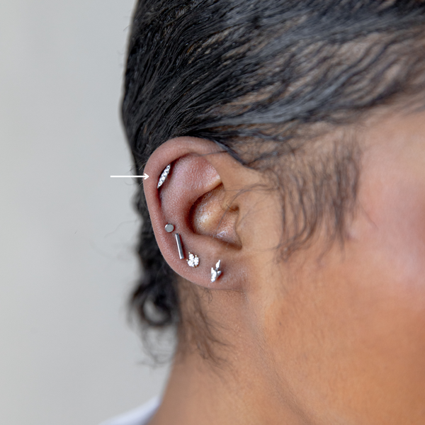 Cartilage Single