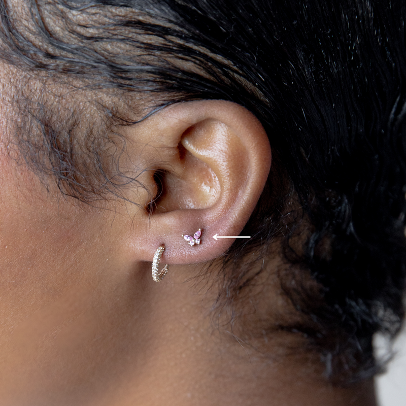 Ear Lobe Pair