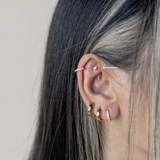 Rook